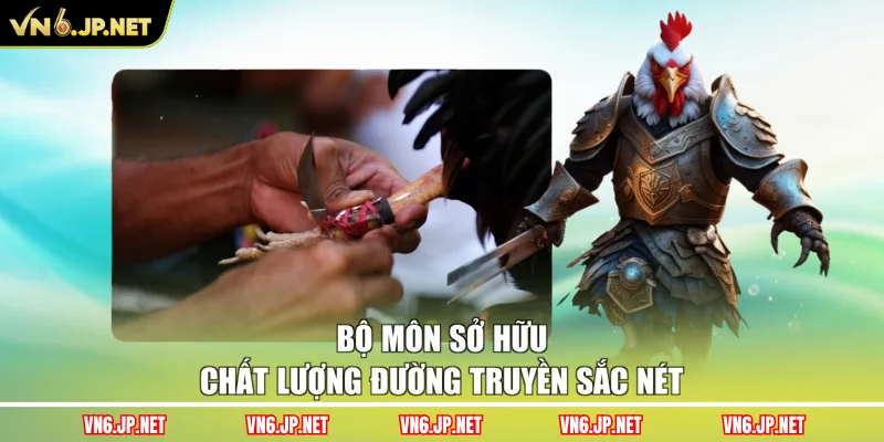 Bộ môn sở hữu chất lượng đường truyền sắc nét