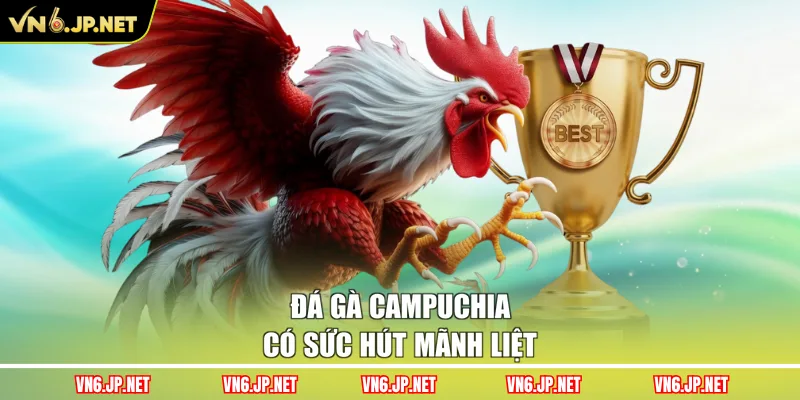Đá gà Campuchia có sức hút mãnh liệt