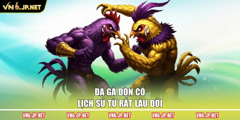 Đá gà đòn có lịch sử từ rất lâu đời