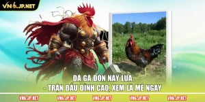 Đá Gà Đòn Nảy Lửa – Trận Đấu Đỉnh Cao, Xem Là Mê Ngay
