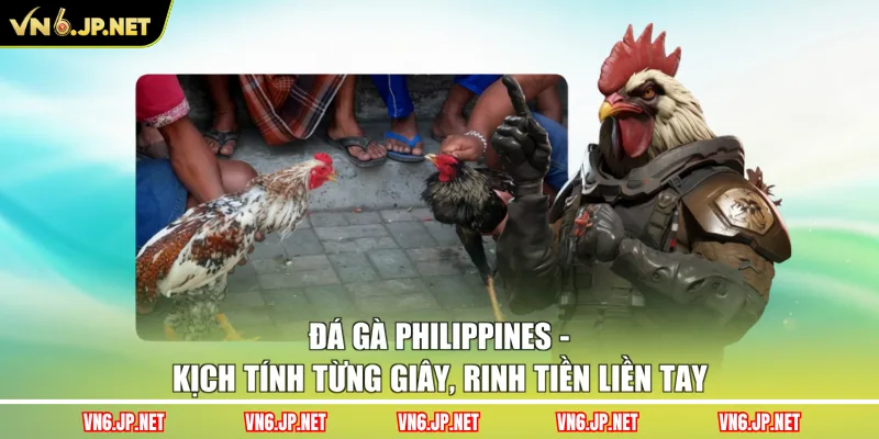 Đá Gà Philippines – Kịch Tính Từng Giây, Rinh Tiền Liền Tay