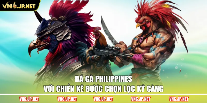 Đá gà Philippines với chiến kê được chọn lọc kỹ càng