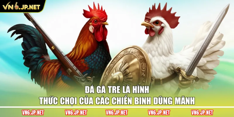 Đá gà tre là hình thức chọi của các chiến binh dũng mãnh