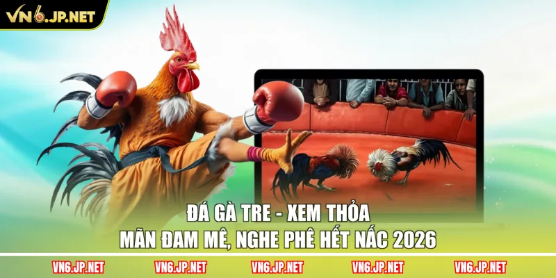 Đá Gà Tre - Xem Thỏa Mãn Đam Mê, Nghe Phê Hết Nấc 2026
