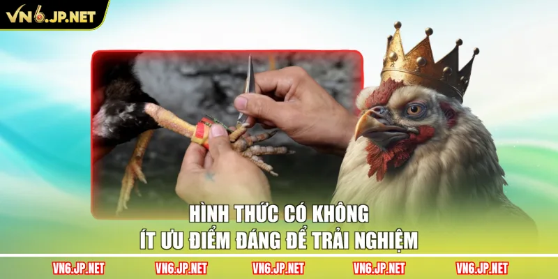 Hình thức có không ít ưu điểm đáng để trải nghiệm
