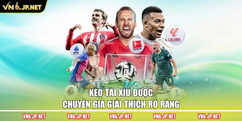 Kèo tài xỉu được chuyên gia giải thích rõ ràng