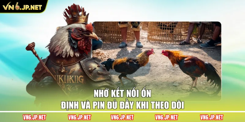 Nhớ kết nối ổn định và pin đủ đầy khi theo dõi