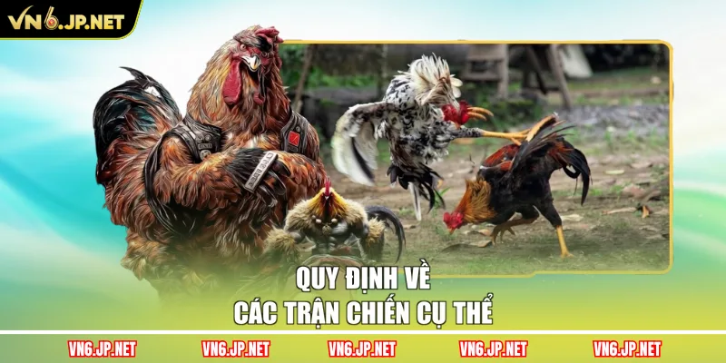 Quy định về các trận chiến cụ thể