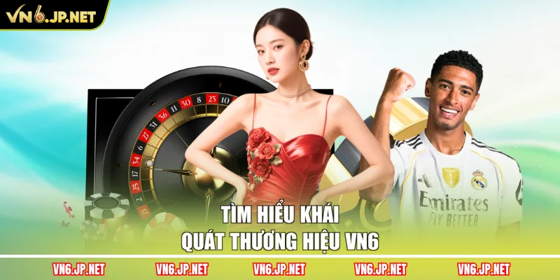 Tìm hiểu khái quát thương hiệu VN6